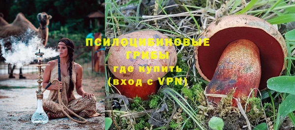 прущая мука Абаза