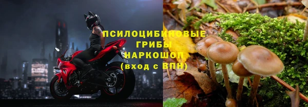 прущая мука Алзамай