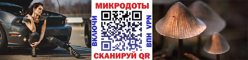 Псилоцибиновые грибы Psilocybe  Цимлянск 